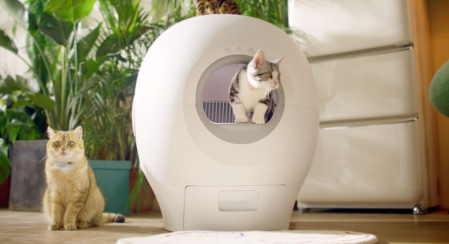 Introducing PETGUGU: World’s First Smart Cat Flush Toilet 1 Introducing PETGUGU: World’s First Smart Cat Flush Toilet - News - News