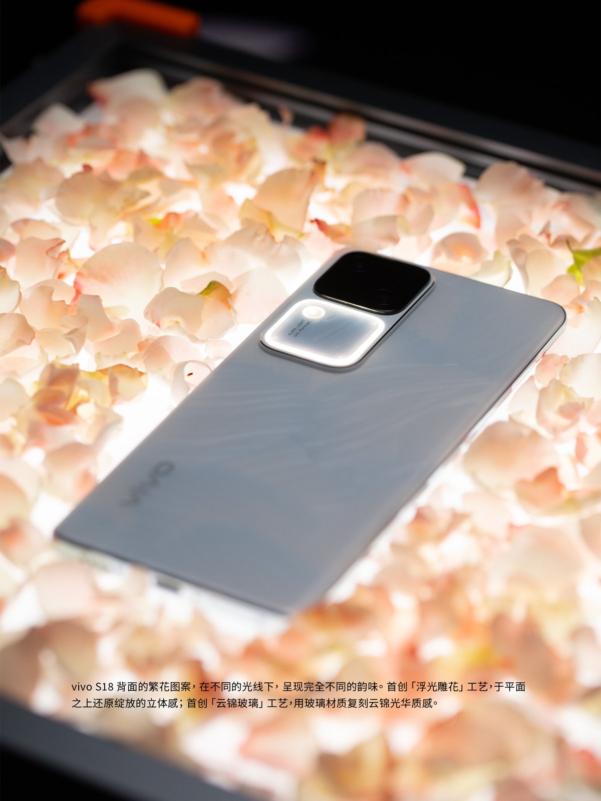 Vivo S19 Pro display, processor, camera, and battery details tipped - News - News